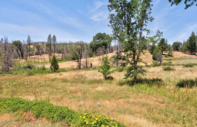 OFF THE Beaten Path Mariposa 3BD + EV Charger - Foto 28