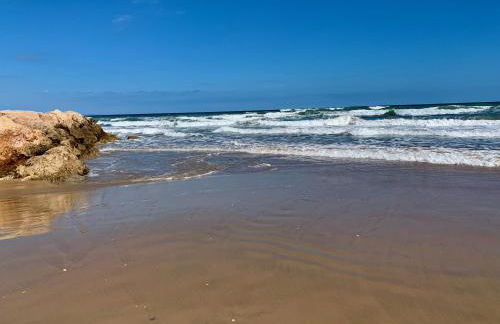 Casa Playa - Photo 17