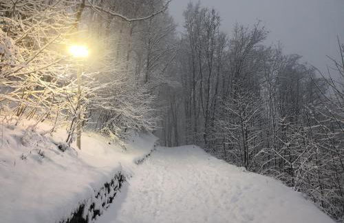 Chalet Luna - Foto 36