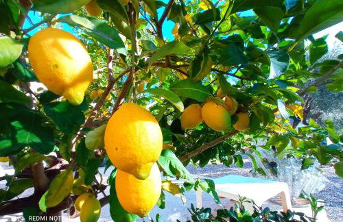 Castel'lodge - Foto 35