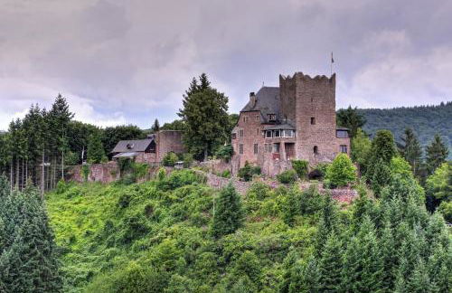 Ferienhaus Am Moselstausee - Foto 57