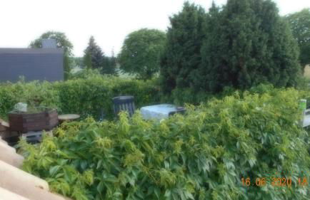 Vermiete sehr schönes Apartment in Dankerode im Harz - Foto 30