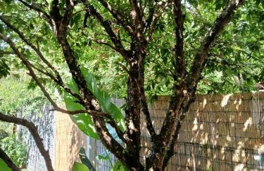 Refúgio Sereno São Seba - Foto 27