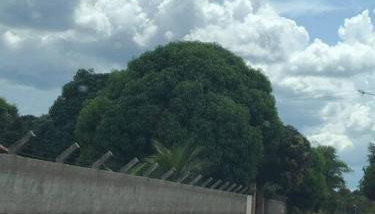 Sítio zona rural de Teresina - Foto 2