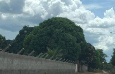 Sítio zona rural de Teresina - Foto 2
