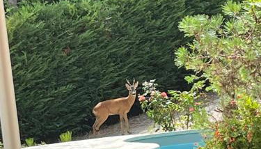 Villa Santa Maria - Photo 4