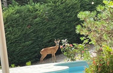 Villa Santa Maria - Foto 8