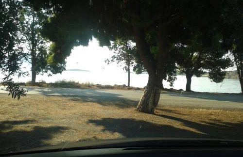 Elea Guesthouse - Photo 38