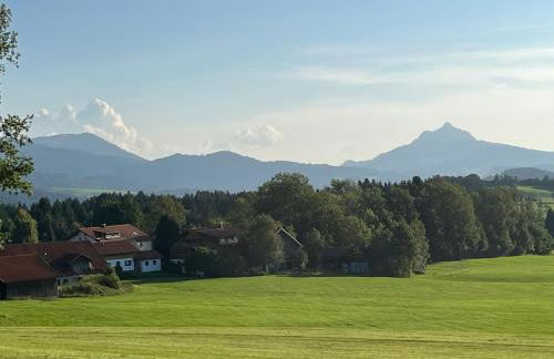 Gugg ins Moos - Foto 21