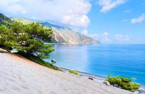 Eliomar Beachside Villa - Photo 7