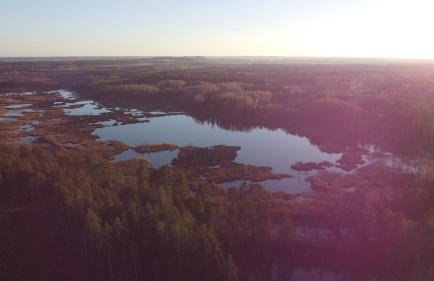Mieszkanie nad jeziorem Rydzówka+prywatny staw+plaża+Mazury - Foto 31