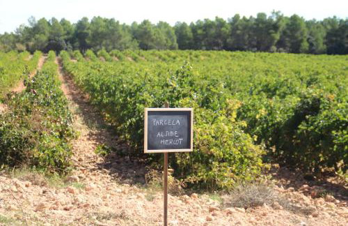 Hotel rural Entreviñas - Foto 55