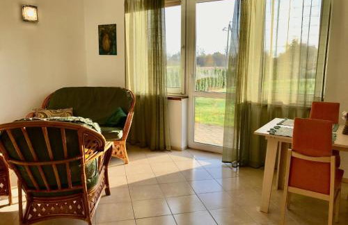 Charming Countryside Apartments - Photo 6