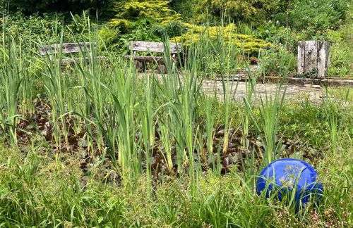 Sellerich Forest Hideaway - Foto 61