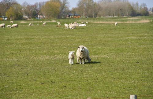 Haus DeichWelle - Foto 2