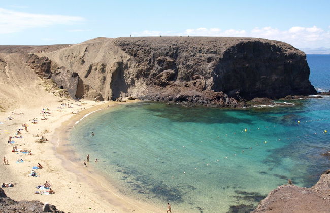 Palmeras Garden - Foto 75