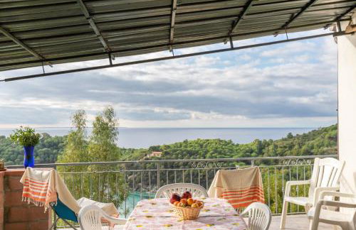 Simona Panorama - Photo 5