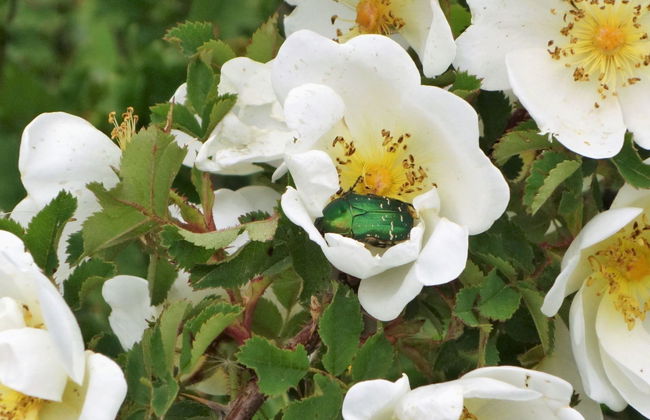 LuxLax 2. OG Süd - Foto 36