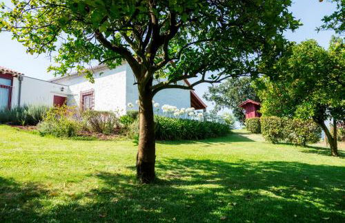 Quinta de Cartemil - Foto 33