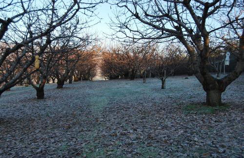 Tenuta Fortelongo - Foto 102