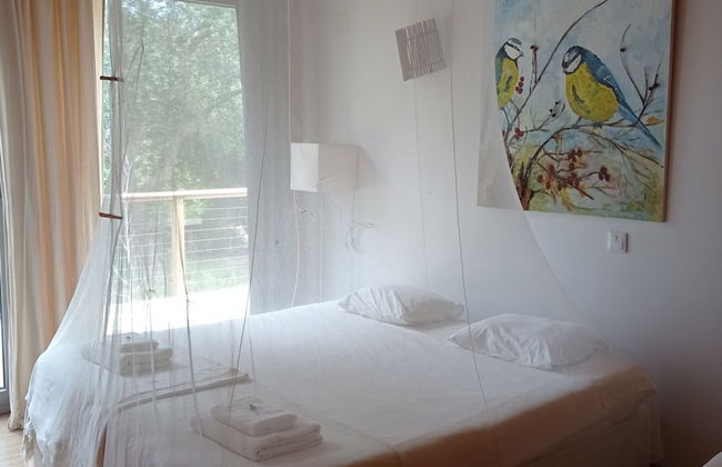 Biovilla Sustentabilidade - Foto 11