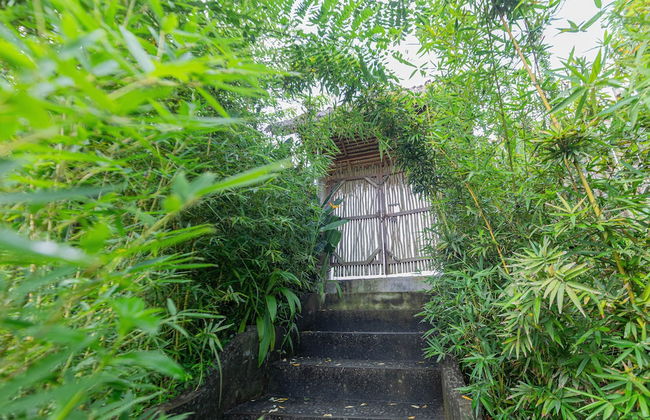 Shigar Livin Bali - Foto 71