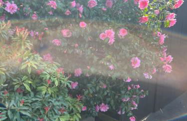 Comfortable and Convenient 4 Bedroom Home - Foto 12