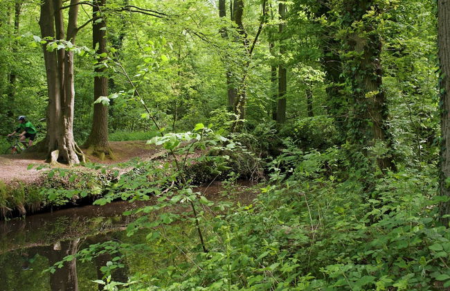 Cozy Lodge in the Achterhoek - Foto 23