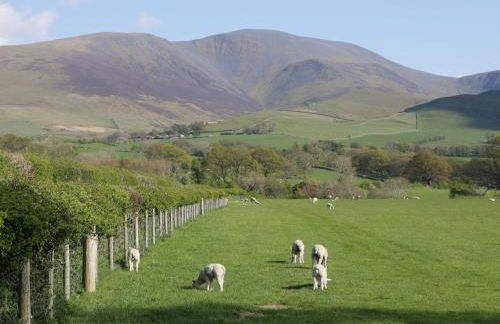 Fellside Cottage - Foto 28