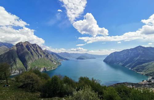 Casa Betty - Photo 39