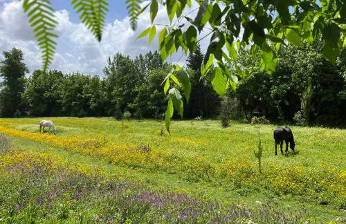 Springfield Lodge - Foto 17