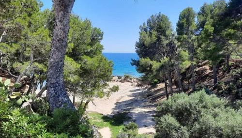 Villa climatisée bord de mer avec piscine privée - Foto 3