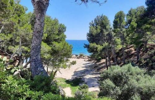 Villa climatisée bord de mer avec piscine privée - Foto 3