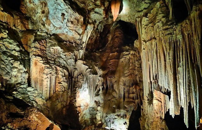 Le Grand Gîte - Photo 36