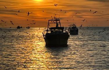 MARINA Belle vue avec appontement - Foto 38