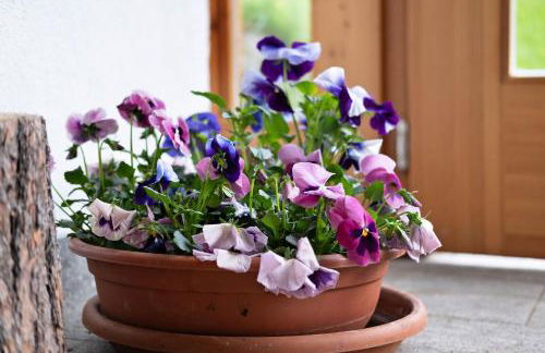 New Teindlhof - Foto 11