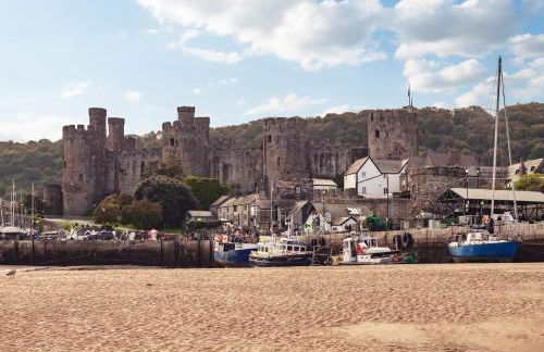 Coed y Felin - Foto 37