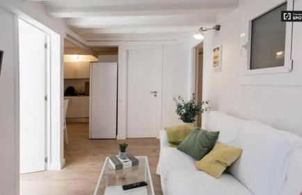 Ramblas Apartment Central BCN - Photo 9