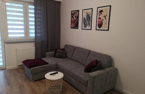 Apartament Marcella - Foto 14