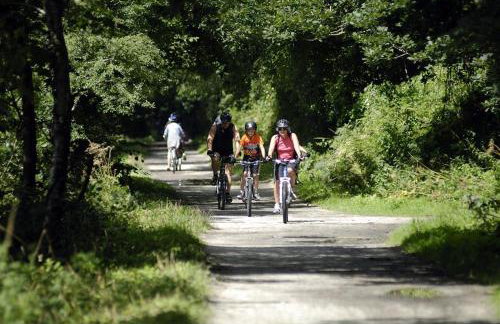 2 Bed in Bodmin oc-p00405 - Foto 13