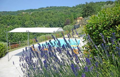 Villa Mario, piscina privata,aria cond,immersa nel verde,campagna Toscana - Foto 1