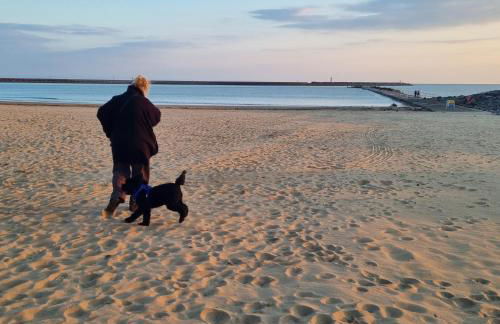 Beach View Couples Retreat Aberavon Beach Direct Seafront panoramic Sea Views large driveway parking - Photo 13