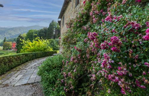 Apartment Podere Villa-Apt- Mezzo by Interhome - Photo 49