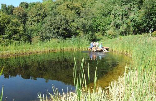 BELVEDERE Appart & Chalet - Ihr Zuhause auf Zeit am Edersee - Ihr Geschenk die GästeCard GrimmHeimat - Foto 5
