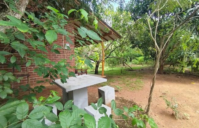 Wilpattu wild villa - Photo 44