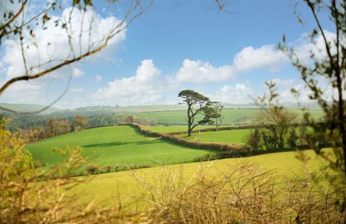 Linhay at East Trenean Farm -Luxury retreat for 2 with stunning rural views, private hot tub and EV charging - Foto 11