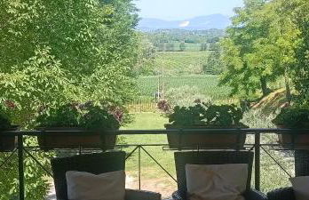 Corte Fattori - Foto 57