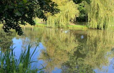 Maison avec parc arboré entre terre et mer - Foto 18