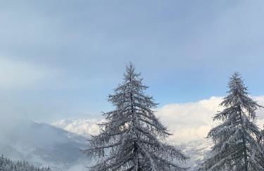 RESIDENCE LE RUITOR Duplex dernier étage vue panoramique classé 4 Cristaux Paradiski - Foto 14