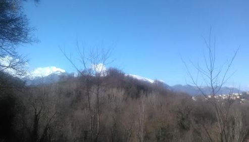 Il Gelso Rosso - Foto 4